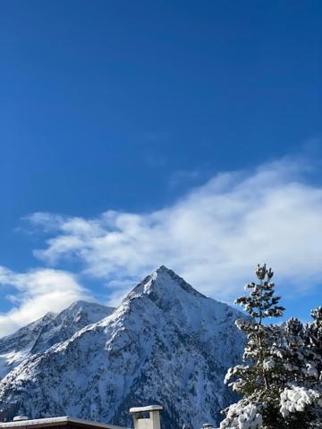 Studio 2 Alpes Style Chalet Au Pied De Telesiege Du Diable เลส์เดอซาลป์ ภายนอก รูปภาพ
