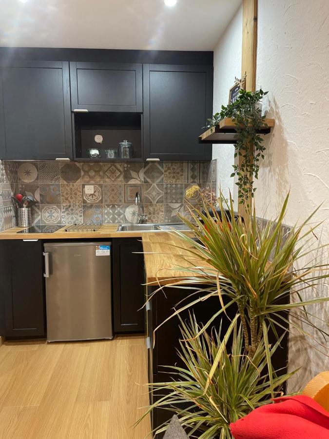 Studio 2 Alpes Style Chalet Au Pied De Telesiege Du Diable เลส์เดอซาลป์ ภายนอก รูปภาพ